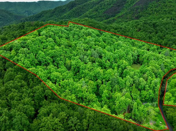 177 Fork Mountain Rd, Roan Mountain, TN 37687