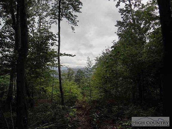 4th image of Tbd Eagles Nest Lane