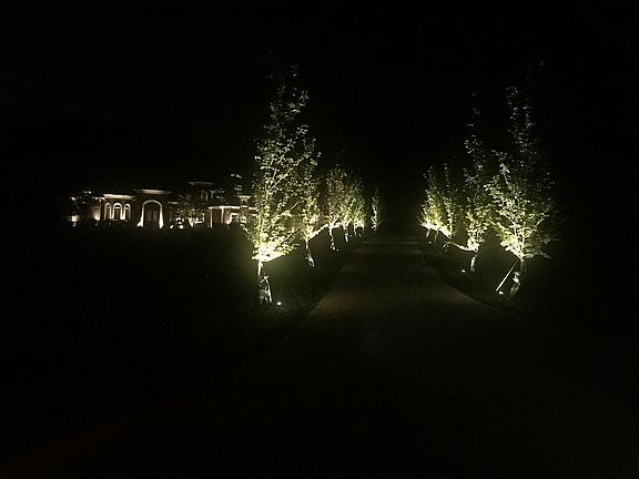 Lighted Driveway