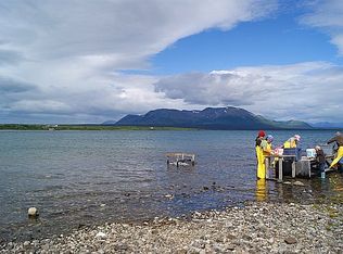 100 Roadhouse Strip Rd, Iliamna, AK 99606
