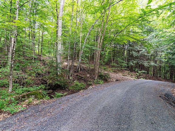 4th image of 1099 Wolfkin Lake Rd