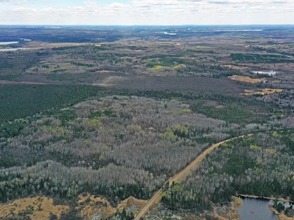4268 Crane Lake Rd, Orr, MN 55771