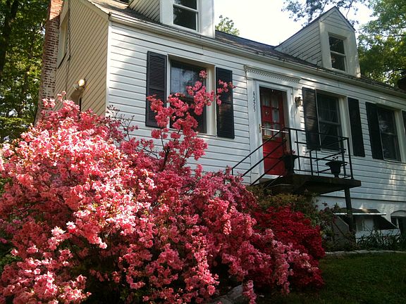 Spring in the Front yard