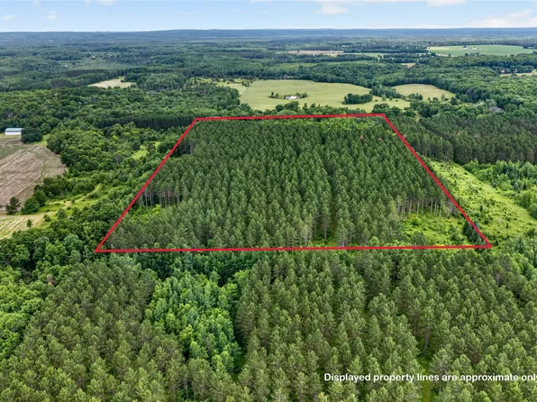 20 Acres N 5th Avenue, Trego, WI 54888