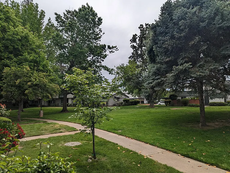 8906 Lanier Way #C — Photo 28