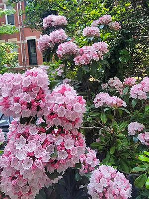 Rented by Brooklyn Heights Real Estate Inc | media 12