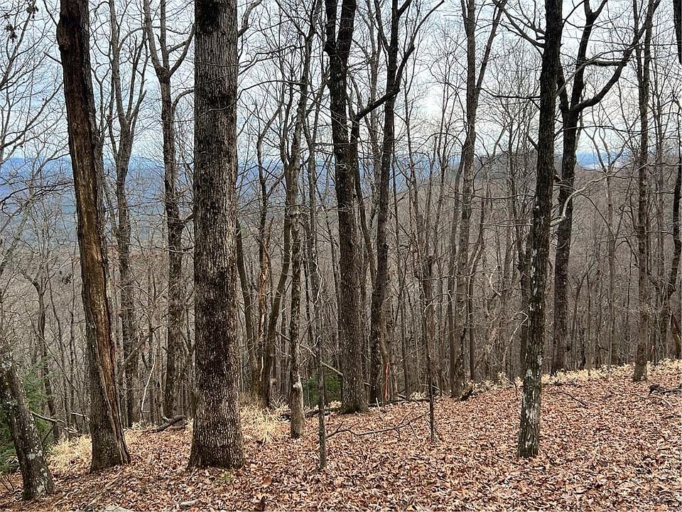 1st image of 466 Sanderlin Mountain Dr
