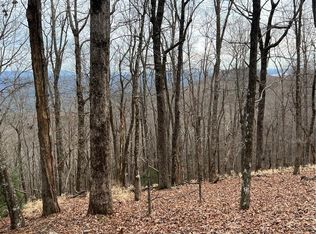 466 Sanderlin Mountain Dr, Jasper, GA