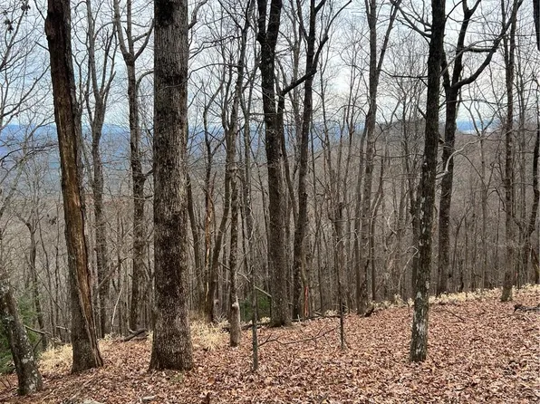 466 Sanderlin Mountain Dr, Jasper, GA 30143