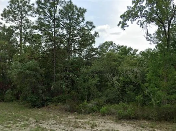 0 SW 151 PLACE LOT 45, DUNNELLON, FL 34432