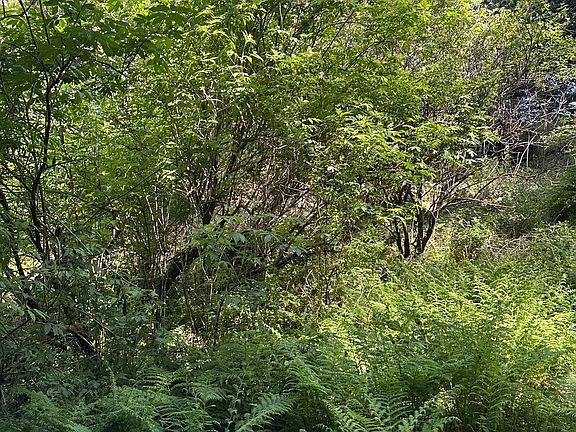 3rd image of Hillside Acres Rd