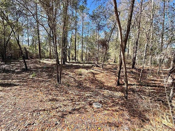 4th image of 4C Knollwoods Cir
