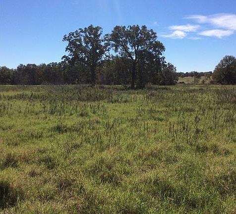 5th image of 1213 Private Road 4486