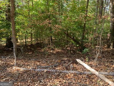 0 Sexton Ln, Lavonia, GA, 30553