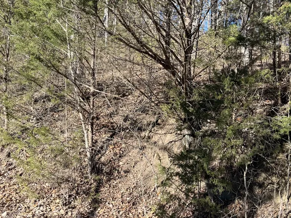 0 Davis Rd Lot 1, Dowelltown, TN 37059