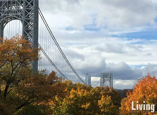 Rented by Living New York | media 30