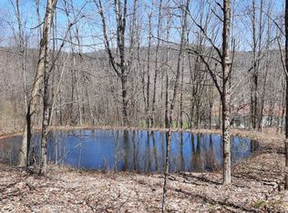 128 Tompkins Ln, Downsville, NY 13755