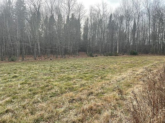 4th image of 80+/- Acres Off South Park Road