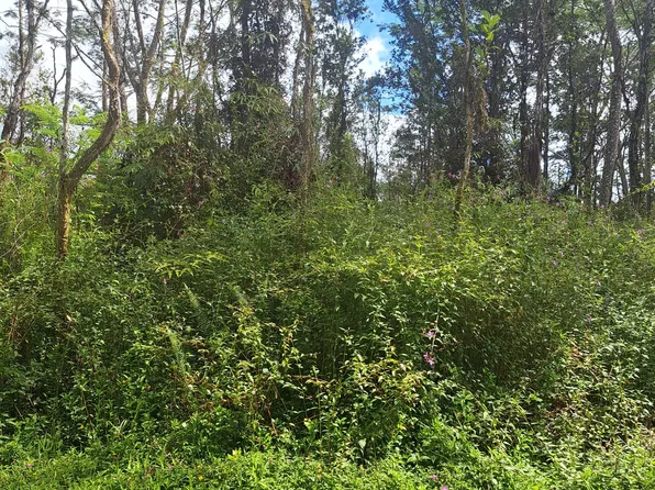 Lehua Rd Lot 12, Pahoa, HI 96778