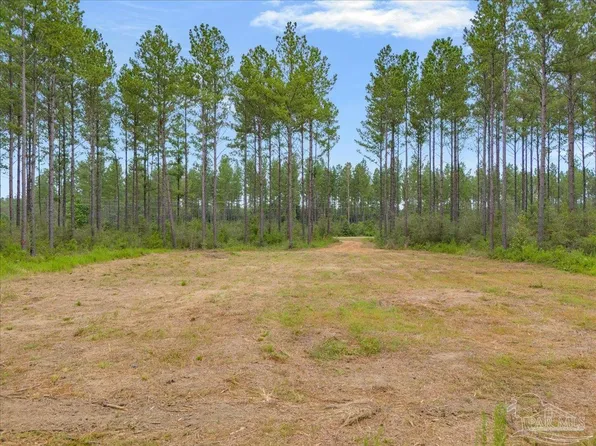 1403 Mineral Springs Rd, Jay, FL 32565