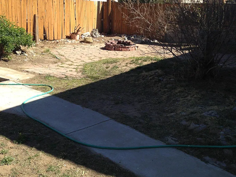 Backyard
