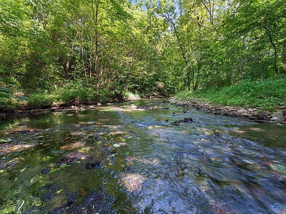 3rd image of 15940 State Highway 64 W