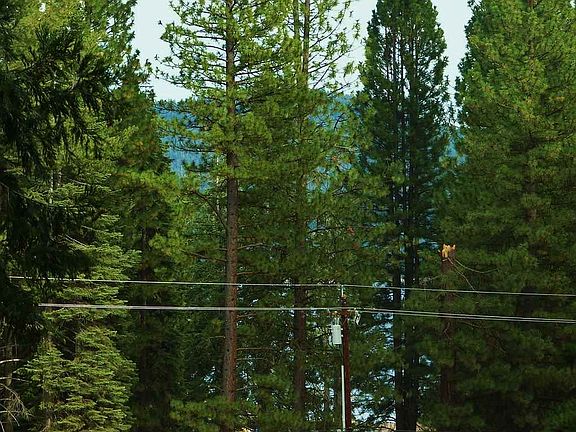 3rd image of 428 Ponderosa Dr