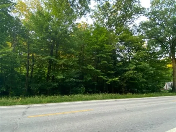 Carters Frd, Deerfield, OH 44411