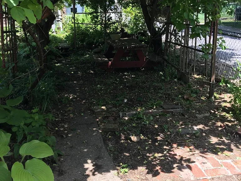 Back yard