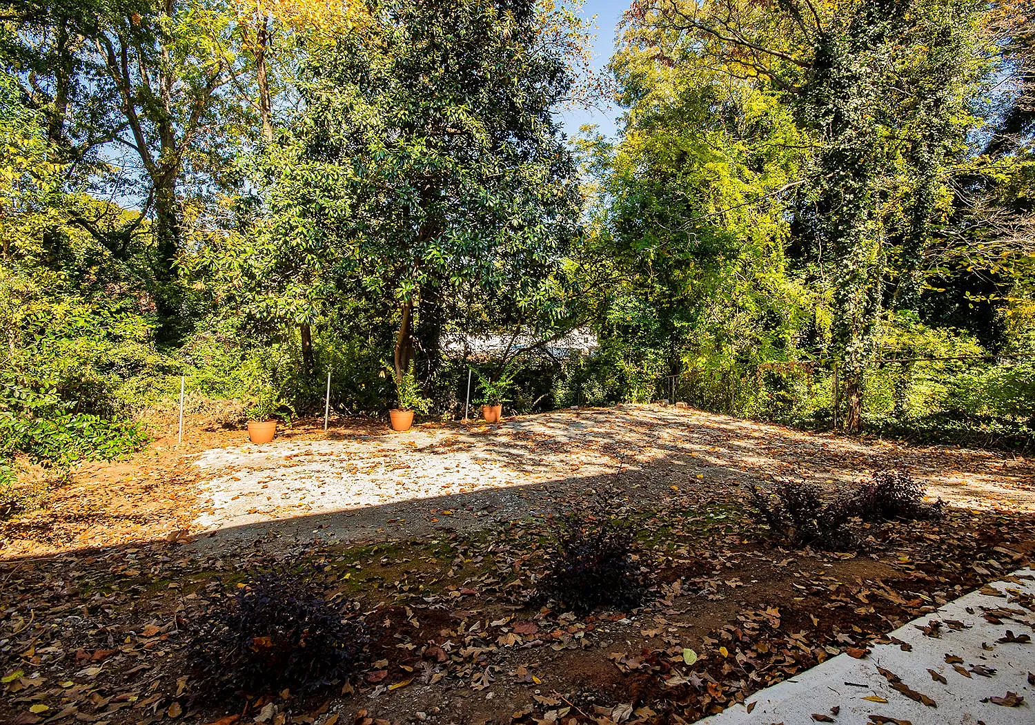 1 bed, 800 sqft, $1,450 — Photo 2