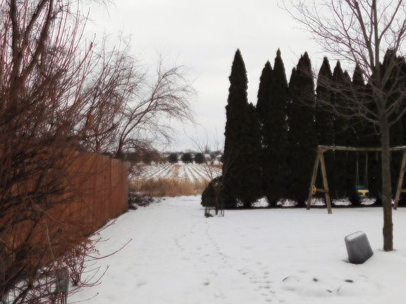4th image of 4514 Willowbend Dr