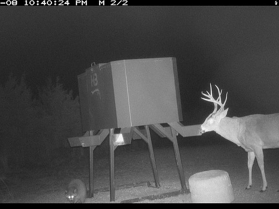5th image of NW White Sands Rd Lot Wp001