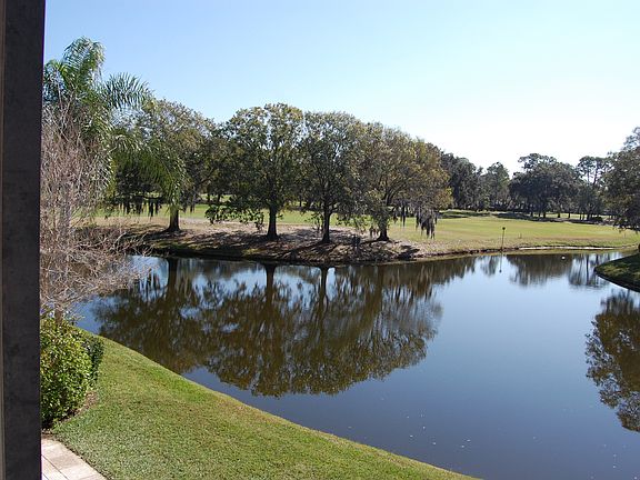 Patio view
