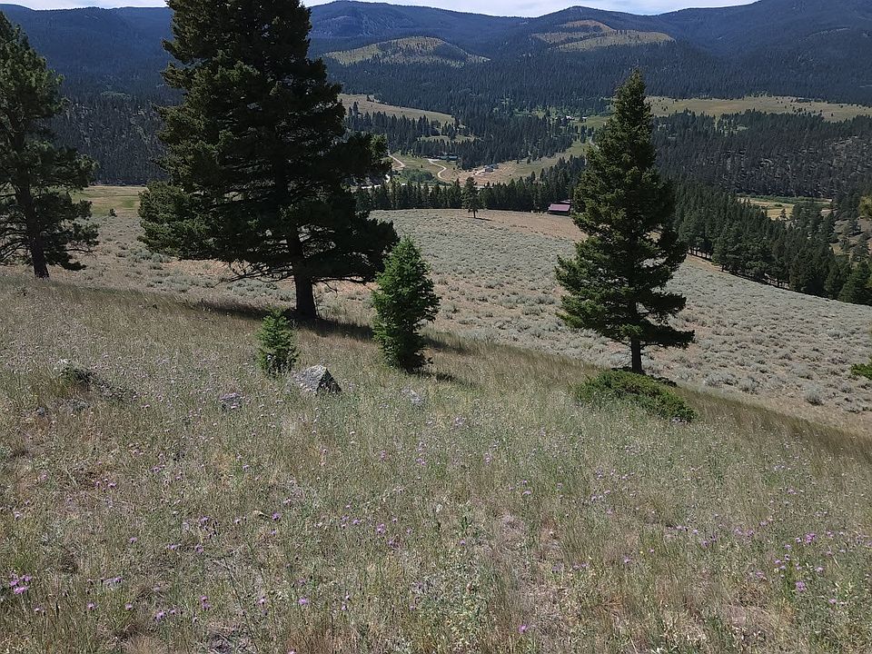 2nd image of 24 Nevada Creek Ranch Rd