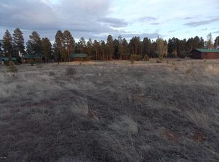 2702 Bain Trl, Overgaard, AZ 85933