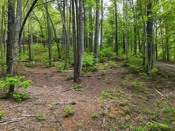 TRACT 3C Riverside Dr, Hiawassee, GA 30546