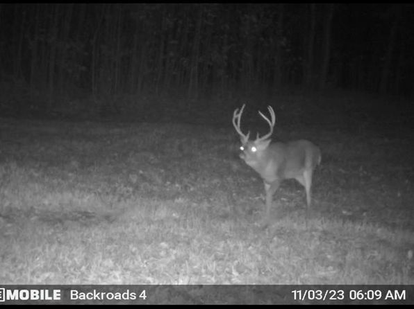 4146 Triangle School Rd, Callands, VA 24530