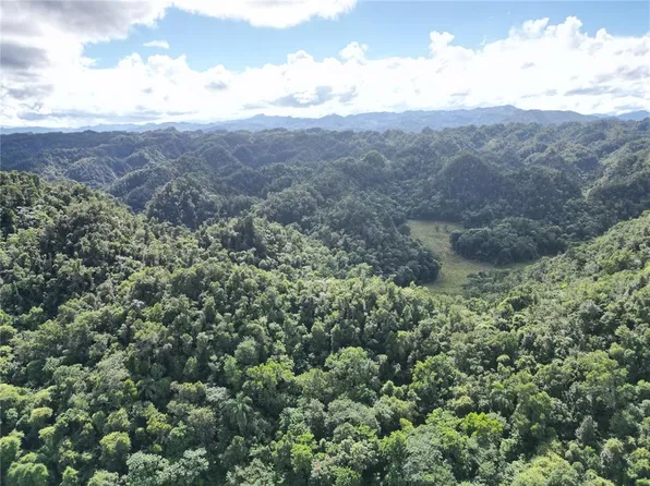 Carretera Prairie Km #628-5.2, Sabana Hoyos, PR 00688