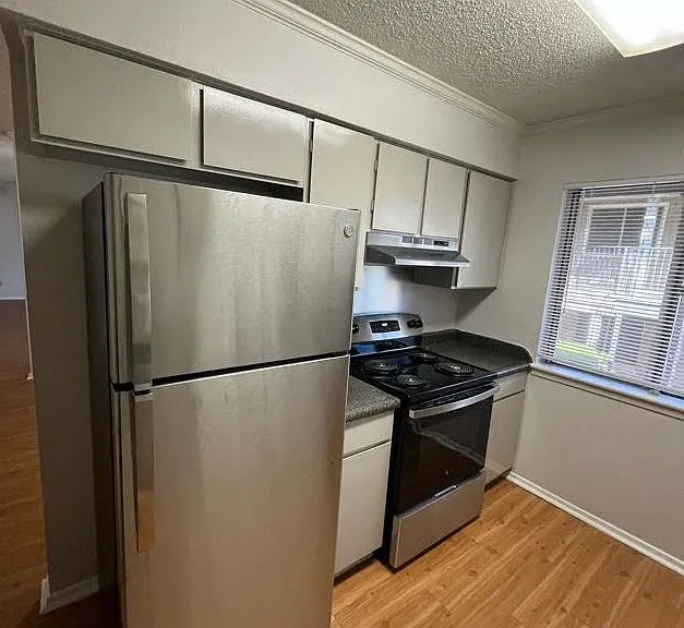 Juniper Springs Apartments — Photo 167