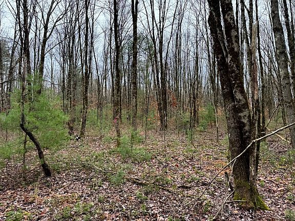 2nd image of 1.3 Littlefield Rd #3