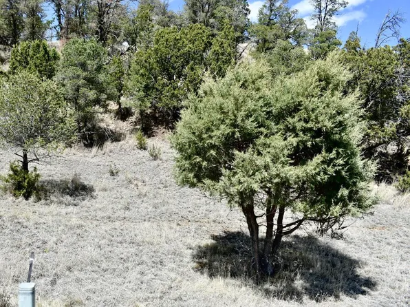 LOT 31 Little Big Horn Rd, Alto, NM 88312