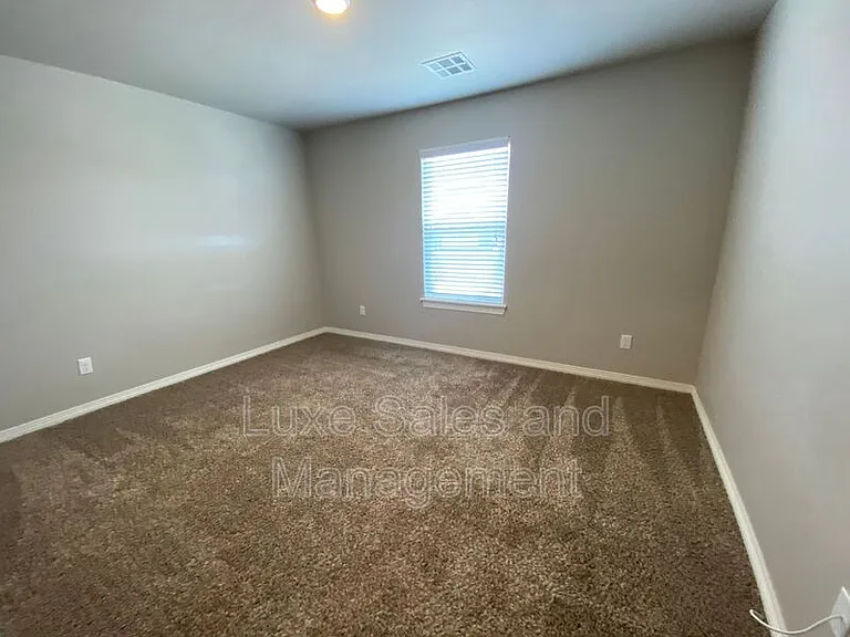 2133 Camino Del Plaza Ln — Photo 22