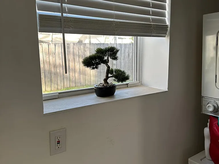 817 Tyler St #12 — Photo 14