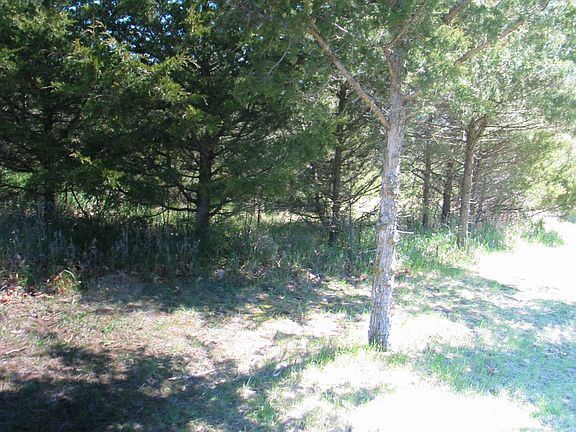 4th image of 10661 Glendalough Ln