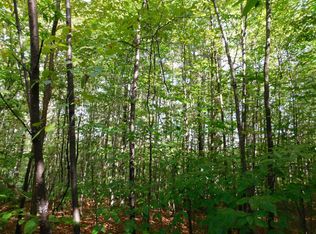 Cameron Bridge Rd, Frederic, MI 49733