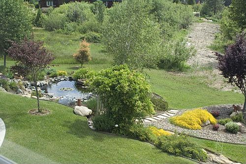 Backyard with pond
