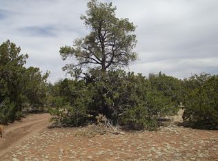 591 E Running Bear Rd, Williams, AZ 86046