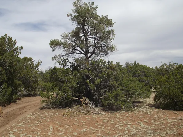 591 E Running Bear Rd, Williams, AZ 86046