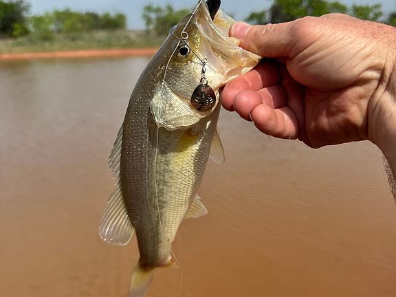 3rd image of 81 County Road 154 Rd