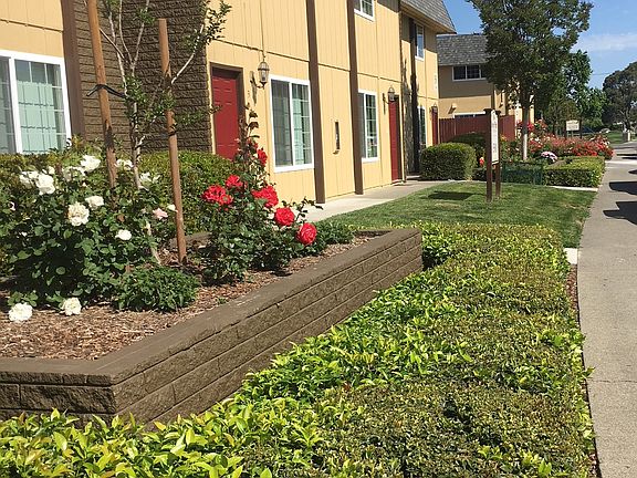 3rd image of 713 E Travis Blvd #1481397